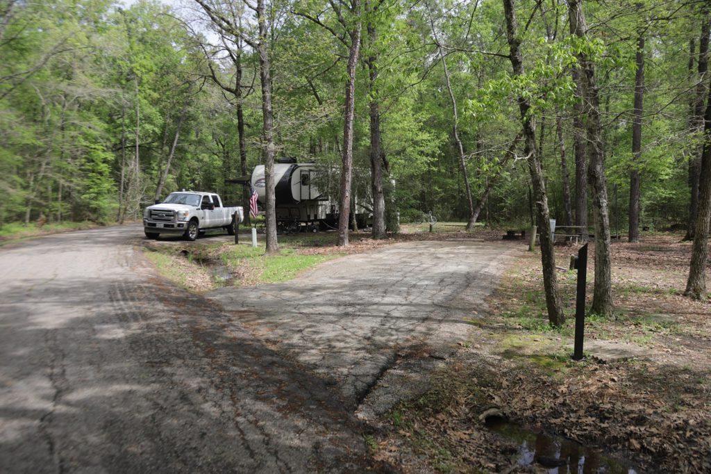 Old Loop Campsite