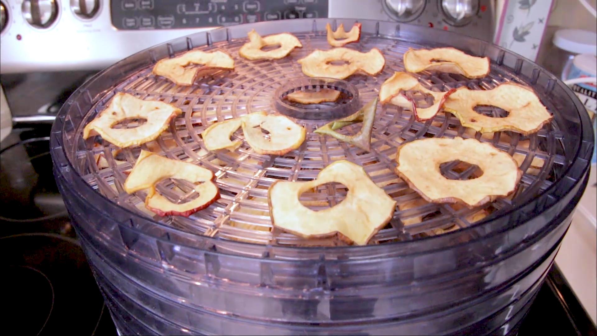 Apple Chips made from apple slices in the food dehydrator.